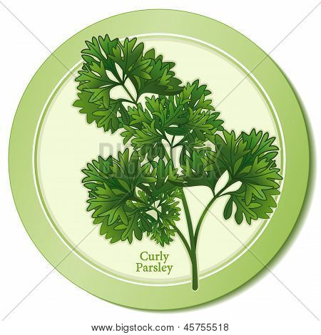 Ikona Herb kadeřavé petrželky