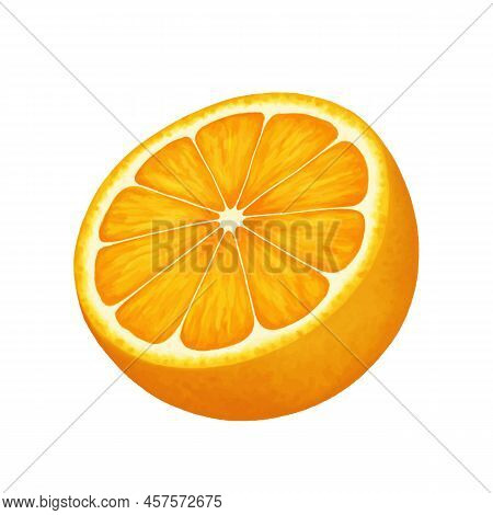 Half Of A Cut Orange. Vector Realistic Illustration Isolated On White Background. Orange Eps Icon Cl