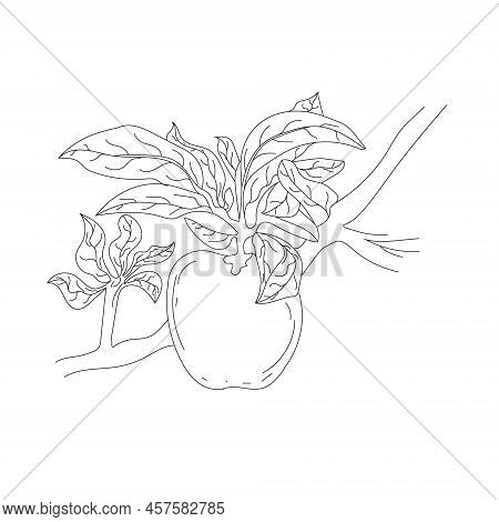 Apple Or Fruit Isolated Line Art. Appletree Sketch Illustration
