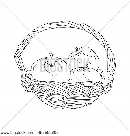 Illustration Of The Basket Full Of Fruits In Line Art Mode, Apple Line Art
