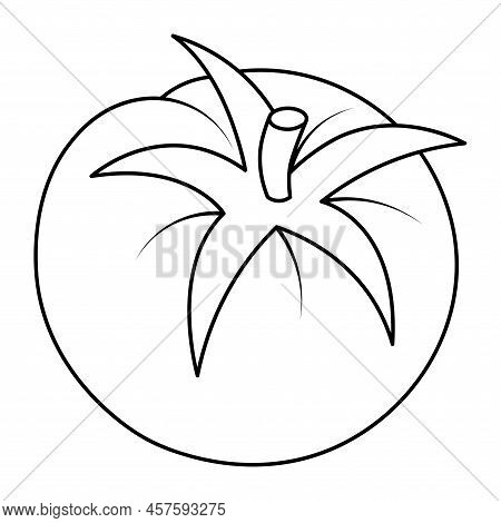 Tomato. Sketch. Vector Illustration. Coloring Book For Kids. Doodle Style. Outline On An Isolated Ba