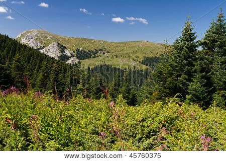 ภูเขา Ilgaz