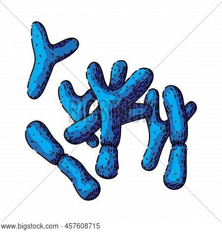 Bacteria Epidemic Hand Drawn Vector. Microscopic Organism, Bacillus Probiotic, Bug Infection Bacteri