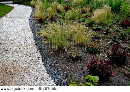 Beds Of Newly Planted Flowers Are Planted And Mulched With Bark. Bluebells And Cypresses, Paths Stre