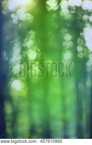 Bokeh In Green Natural Tree Leaves Background