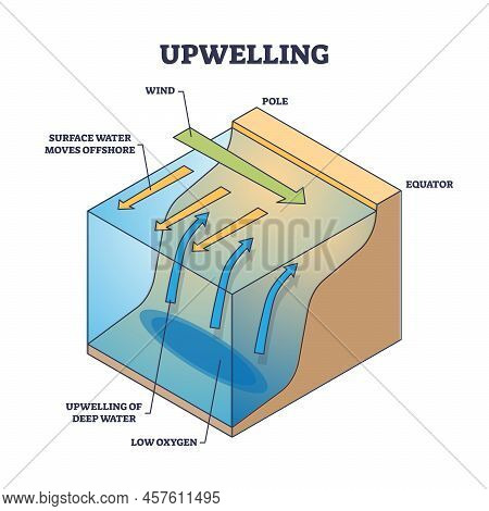 Upwelling As Ocean Deep Water Movement Process Explanation Outline Diagram. Labeled Educational Wind