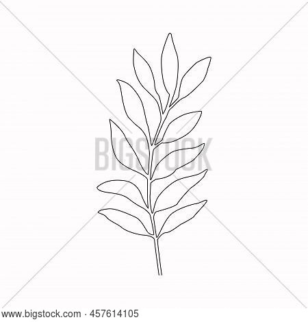 Leaves One Line Drawing. Continuous Line Simple Illustration. Abstract Contemporary.