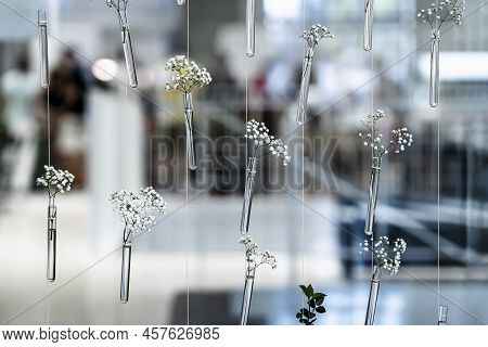 Test Tubes With Fresh Graceful Plants, Decorative Background, Cience Cosmetic Laboratory Concept