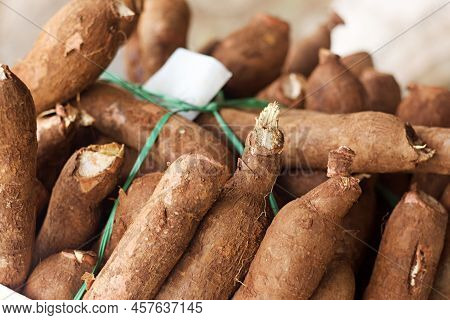 Pile Of Cassava, Also Called Manioc, Yuca, Balinghoy, Mogo, Mandioca, Kamoteng Kahoy, Tapioca And Ma