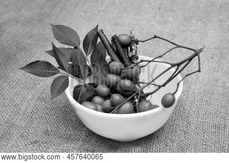 Neem Leaves,  Fruits, And Stems On Bowl. Medicinal Neem Seeds, Leaf, Branches For Homeopathy, Ayurve