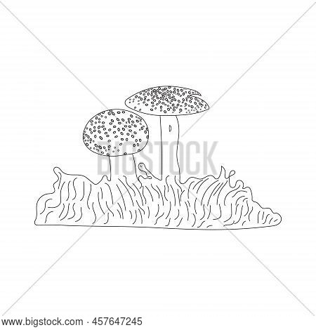 Mushrooms, Autumn, Forest, And Harvest Hand Drawing. Modern One Line Graphic Draw Design Illustratio