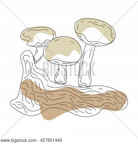 Mushrooms Line Art. Autumn, Forest, And Harvest Hand Drawing. Modern One Line Graphic Draw Design Il