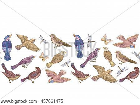 Set Off Birds Sparrow, Finches, Butterflies And Dragonflies. Seamless Pattern, Background. Hand Draw