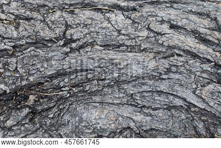 Photography Of Textured Hardwood No People Picture As A Background Death Material With Cruft Black E