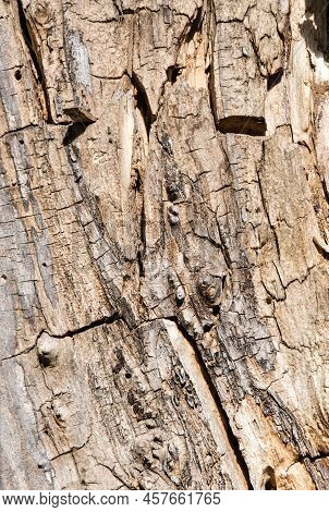 Photography Of Textured Hardwood No People Picture As A Background Death Material With Cruft Black E