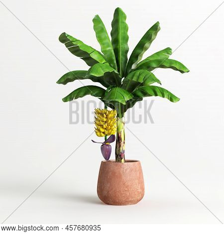 3d Illustration Of Houseplant In Terrazzo Potted On White Background