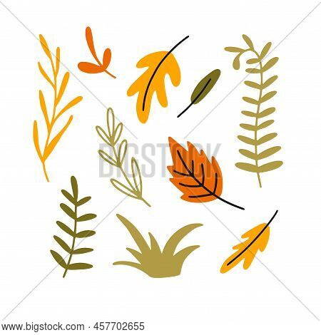 Set Of Fall Colorful Leaves With Grass In Doodle Style. Collection Of Children Vector Illustrations 