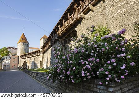 Tallinn, Estonia. July 2022.   View Of Nun's Tower And City Wall Platform And Medieval City Walls In