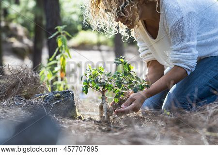 Earth's Day Celebration Concept With Happy Woman Planting A New Tree In The Forest - No Deforestatio