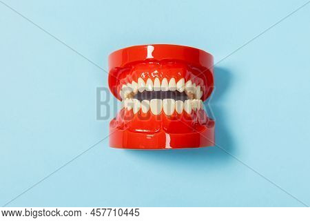 Clean Denture, Jaw Model, On A Blue Background