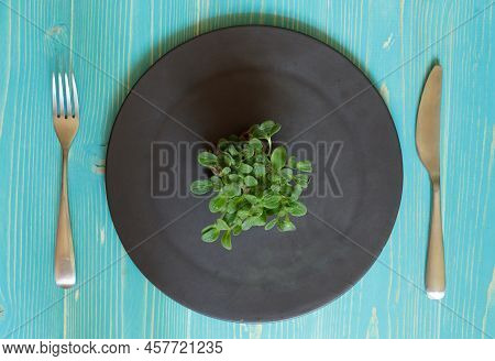 A Black Plate With A Micro-greenery Of Cucumber Grass And Cutlery. Top View On A Blue Wooden Backgro