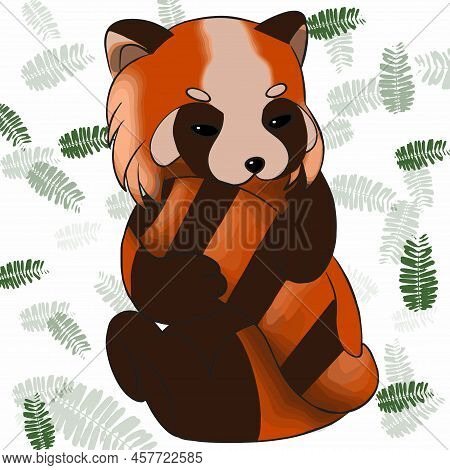 A Brown Panda Sits And Eats Its Tail, In The Background A Pater With Weed