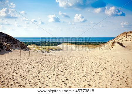 Dunas grises en el Istmo de Curlandia