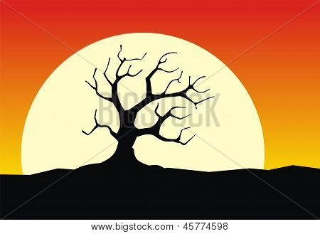 tree 2