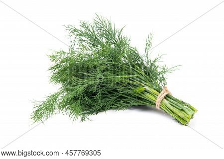 Fresh Green Dill Leaves Dillweed Herb Isolated On White