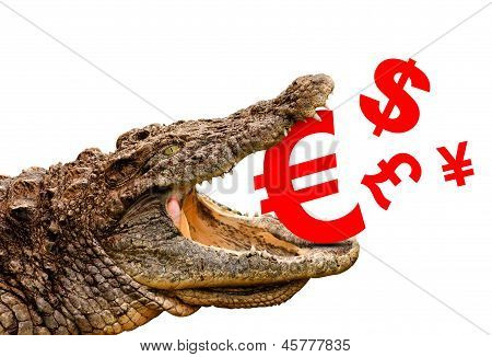 Simboli soldi (euro, dollaro, sterlina, Yen) mangiato dal coccodrillo per vendita, Crash o sconto.