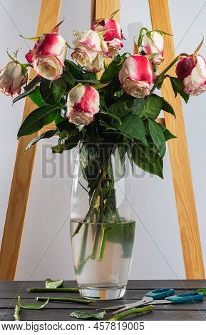 Bouquet Of Wilted Roses In Glass Vase On Dark Wooden Table. Dead Ugly Roses On White. Depression Wil