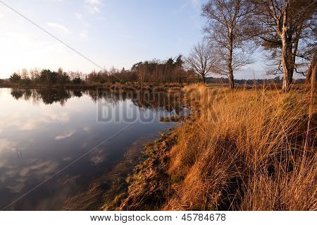 Klidná malá divoká jezero v Dwingelderveld
