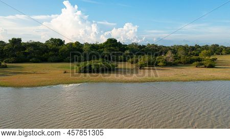 Top View Of The Lake And The Rainforest Against The Blue Sky. Kumana National Park. Tropical Landsca