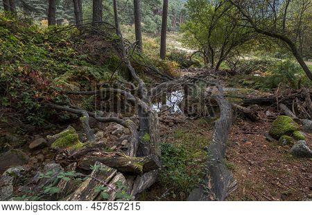 Views Of The La Herrada Stream, In The Hueco De San Blas Valley, A Very Popular Place For Hikers Loc