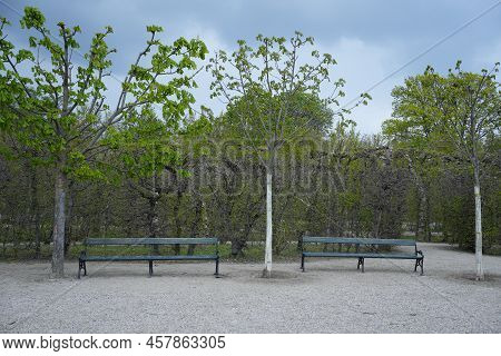 Two Empty Benches In A Beautiful Park In Spring