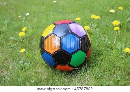Colorful  Soccer Ball In A Grass Field With Dandelions