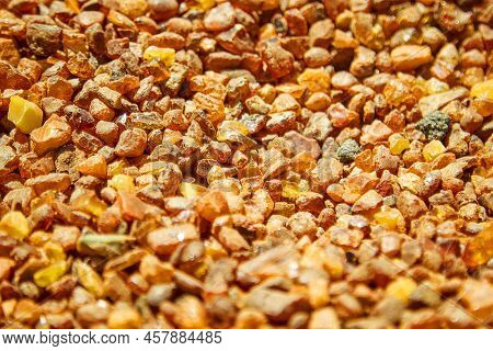 Amber, Mineraloid, Petrified Fossil Tree Resin, Hardened Resin Of The Oldest Coniferous Trees Of The
