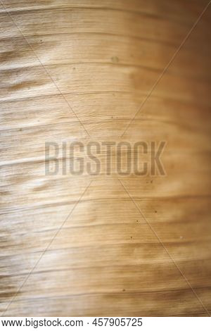 Texture Background Backlight Cinnamon Dry Leaf. Closeup Background Of Beige Banana Leaf Use Space Fo