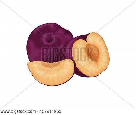 Plum. Ripe Purple Plum. Fresh Sweet Plum. Ripe Juicy Plum Berry In The Section. Vegetarian Organic P