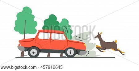 Car Accident In Wilderness, Hit Running Animal