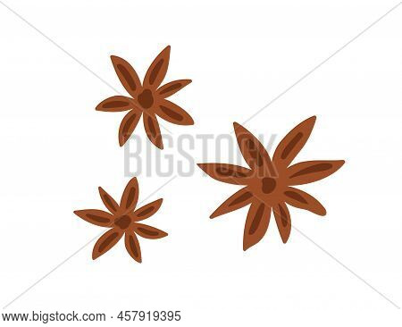 Star Anise . Aromatic Indian Seasoning, Condiment. Dry Badian, Brown Flavored Ingredient. Flat Vecto