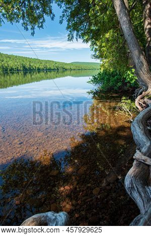 Mature Trees On The Shoreline Of The Crystal Clear Waters Of Lake Fanny Hooe