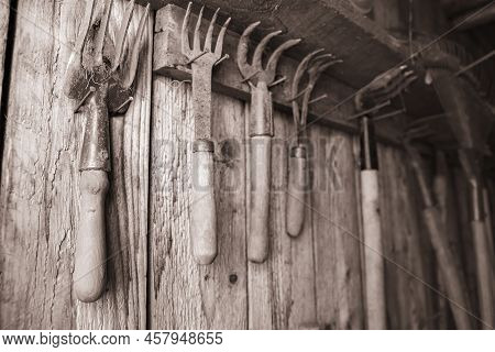 An Old Garden Tool Is Hung On The Wall. Retro Style Of Garden Equipment. Garden Tools Lying In The S