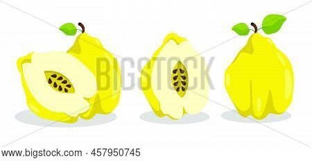 Quince Fruit Whole And Cut In Half With Pit In Middle. Exotic Fruit. Cartoon Vector Isolated On Whit