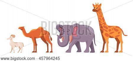 Set Of Cute Africa Safari Animal Collection Like Deer Camel Elephant And Girrafe In White Background