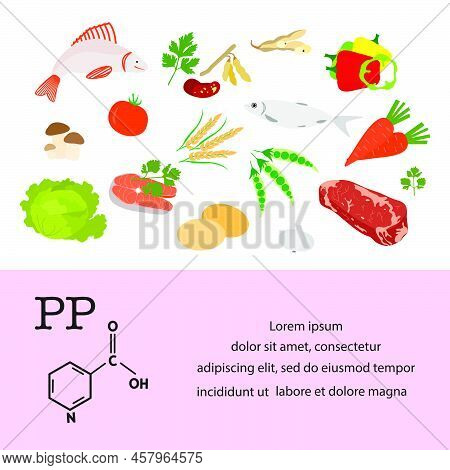 Vector Illustration Vitamin Pp Sources. Healthy Food Enriched With Vitamins Essential For Protein Me