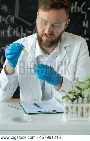 Scientist Biotechnolog Dropper Over Test Tube Dropping Sample Chemical Into Sample Herbal Plaint, Na