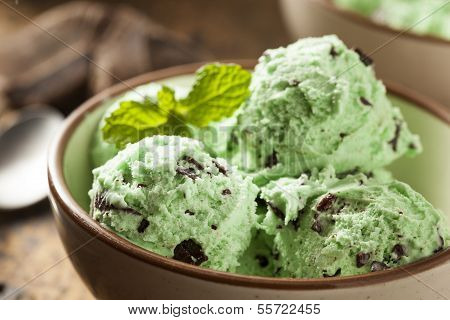 Organic Green Mint Chocolate Chip Ice Cream