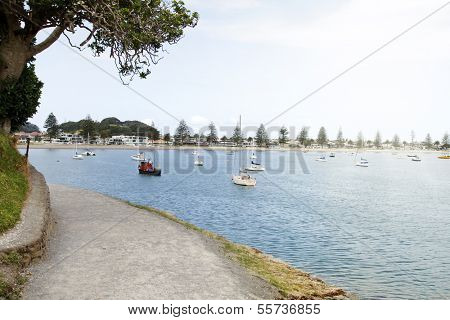 Boats moored in bay at Tauranga, New Zealand