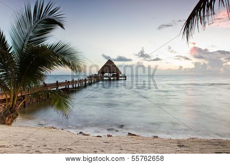 Tropical Beach
